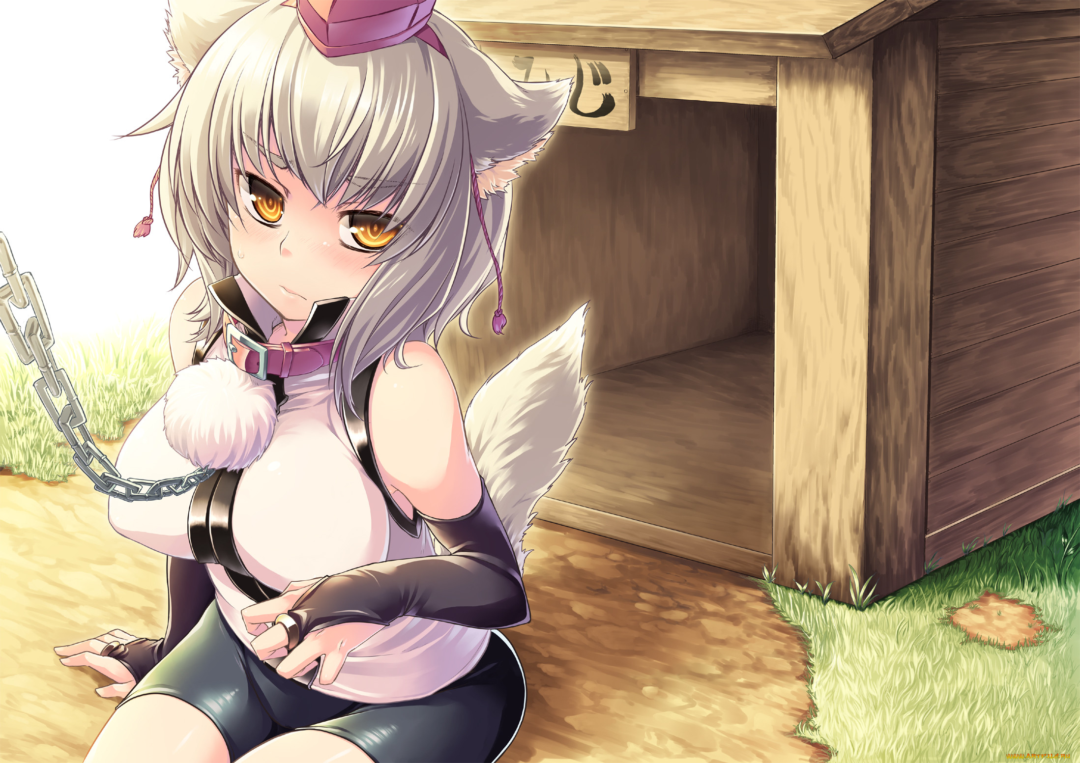 inubashiri, momiji, , touhou